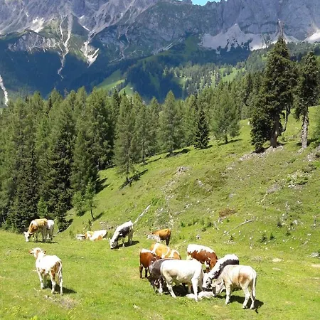 Forsterhof شقة هاوس إم إنيستال