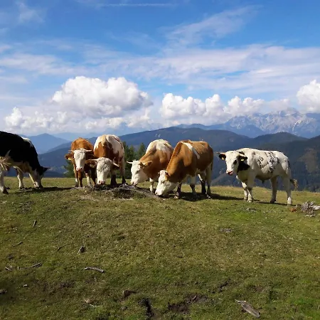 Lejlighed Forsterhof *