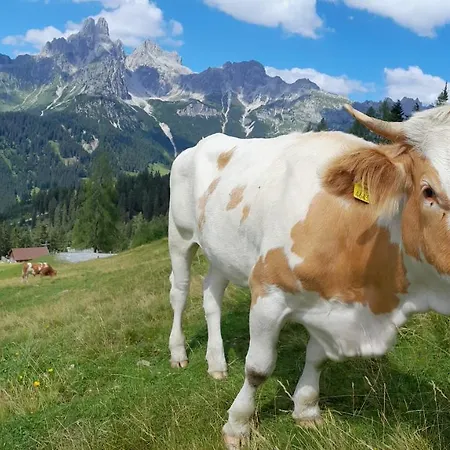 Lejlighed Forsterhof *