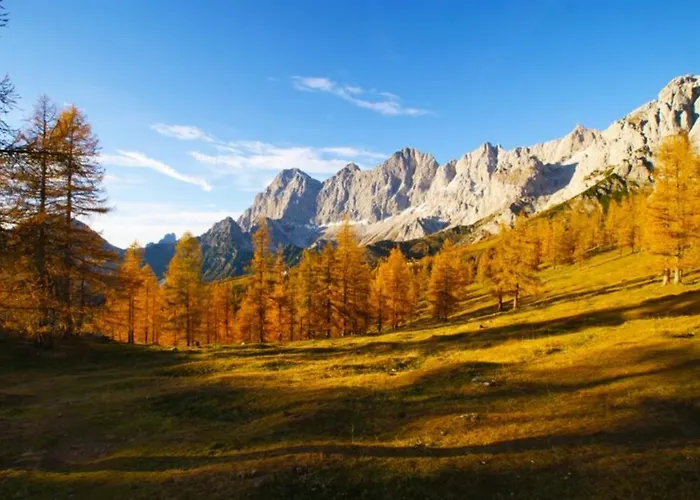 Forsterhof * 恩斯塔尔豪斯